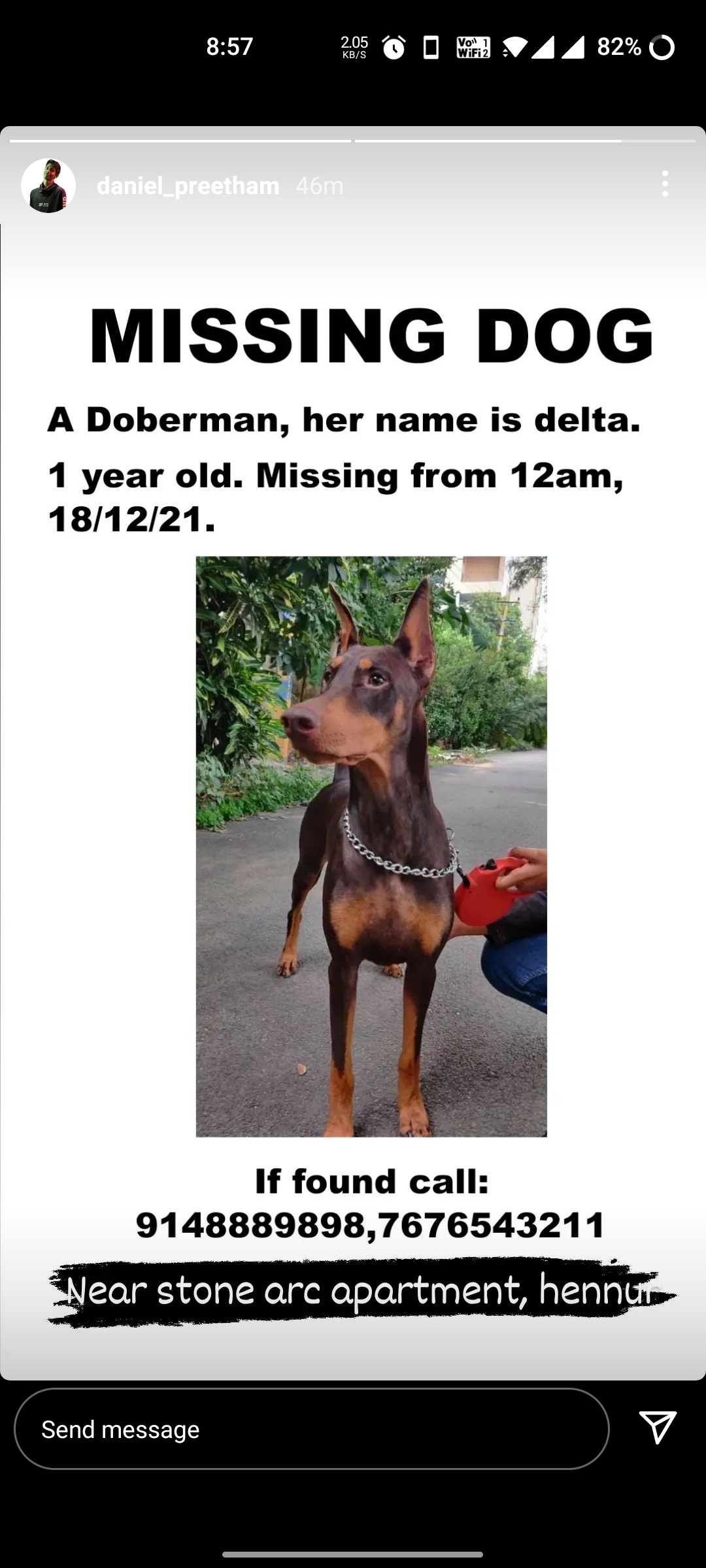 Lost doberman sales